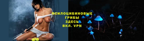 винт Каменка