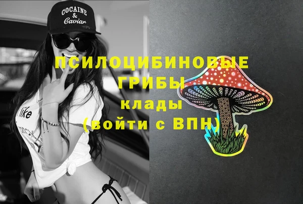 а пвп мука Козельск