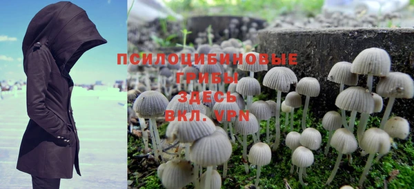 метадон Каменногорск