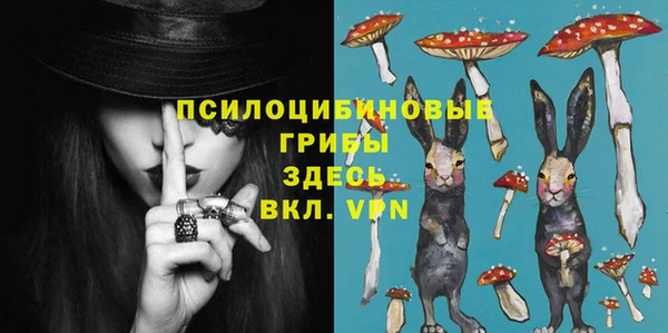 тгк Кодинск