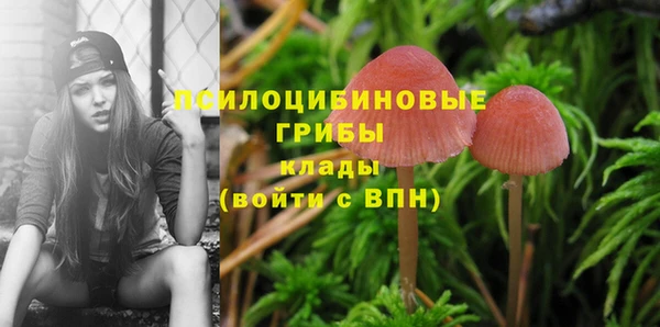 соль курить ск Каменск-Шахтинский