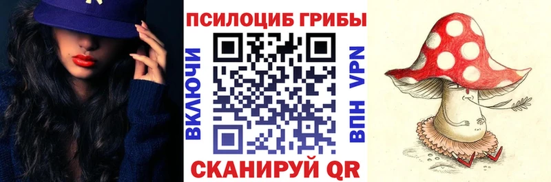 Псилоцибиновые грибы мухоморы  Куртамыш 
