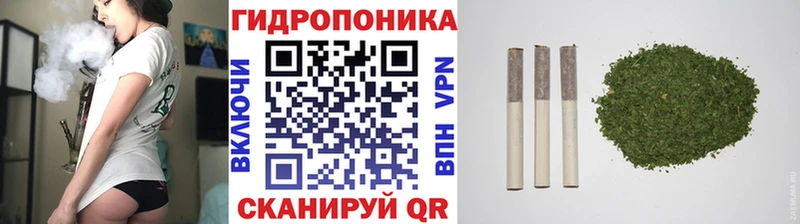 Бошки Шишки планчик  Куртамыш 